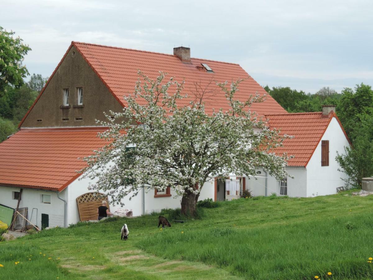 Pod Miotelka Wlen Esterno foto
